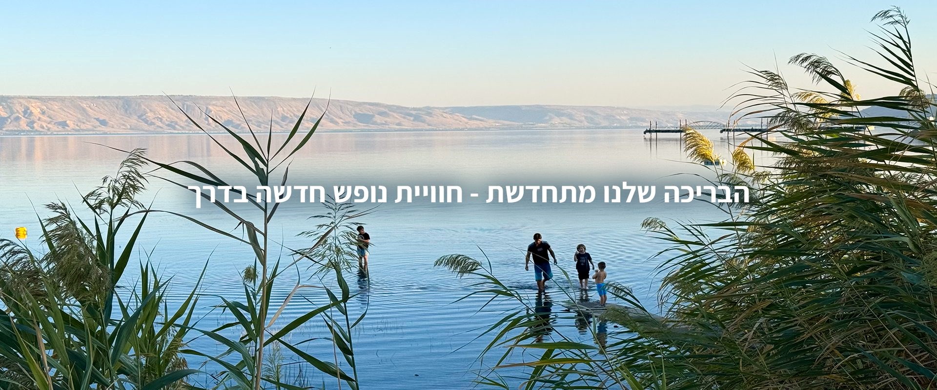 נוף גינוסר