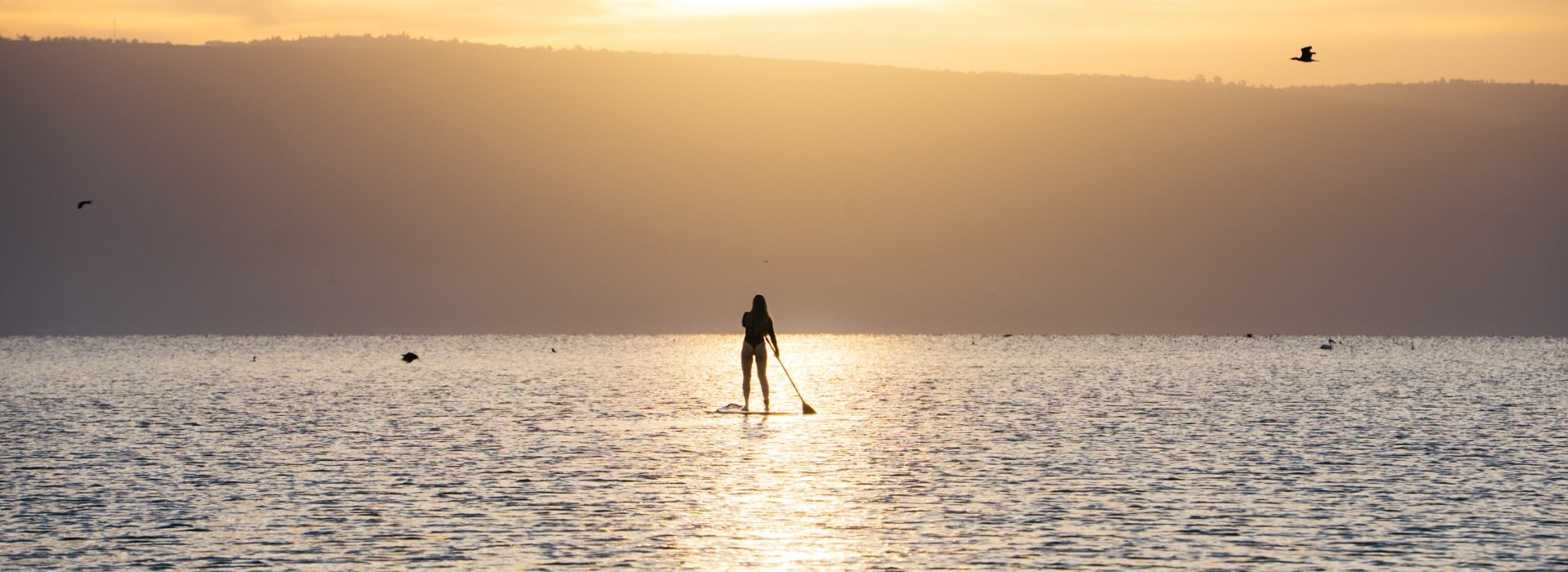 מבצעים ודילים לכנרת - תיירות נוף גינוסר בכנרת