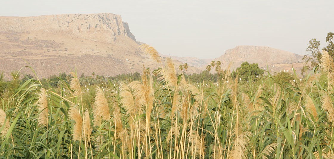 תיירות נוף גינוסר