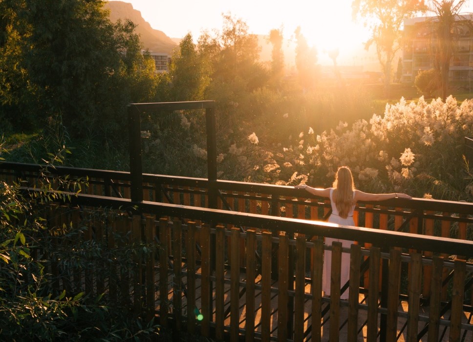 תיירות נוף גינוסר