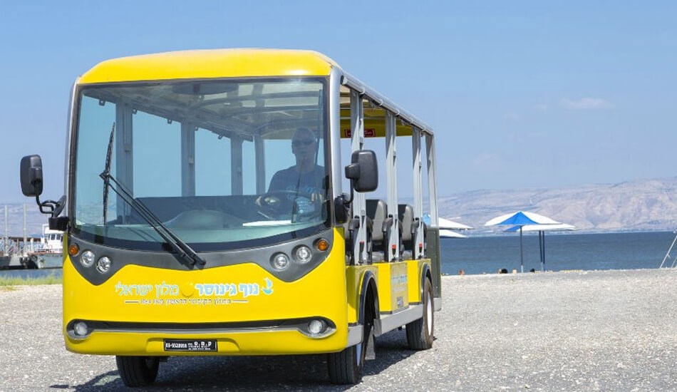 פעילויות מיוחדות (עונתי)