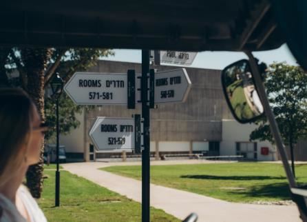 תיירות נוף גינוסר