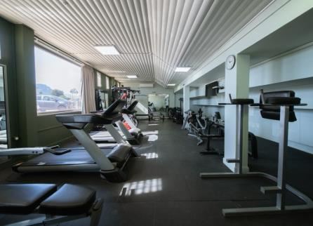 תיירות נוף גינוסר