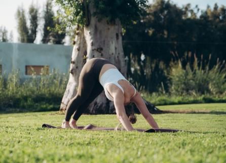 תיירות נוף גינוסר