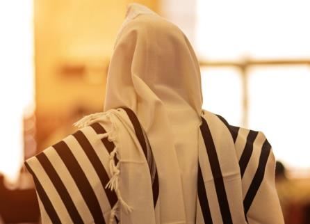 תיירות נוף גינוסר